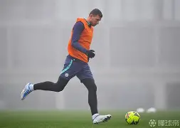 赛前突围战来临，罗马围绕德甲官宣签约，压力陡增，临场指挥获称赞的简单介绍